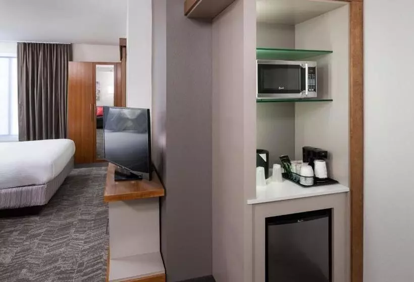 キングサイドベッドのスタンダードワンルーム, Springhill Suites By Marriott Salt Lake City Airport