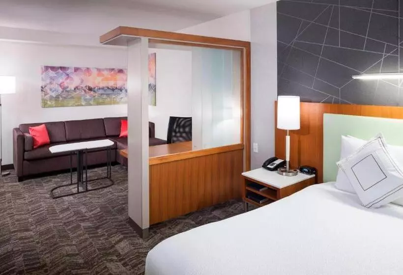 キングサイドベッドのスタンダードワンルーム, Springhill Suites By Marriott Salt Lake City Airport