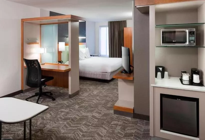 キングサイドベッドのスタンダードワンルーム, Springhill Suites By Marriott Salt Lake City Airport