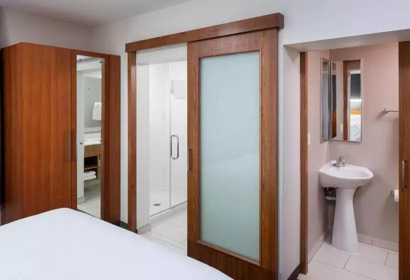 キングサイドベッドのスタンダードワンルーム, Springhill Suites By Marriott Salt Lake City Airport
