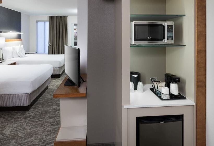 Студия Стандарт, Springhill Suites By Marriott Salt Lake City Airport