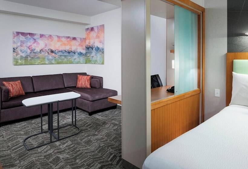 标准工作室, Springhill Suites By Marriott Salt Lake City Airport