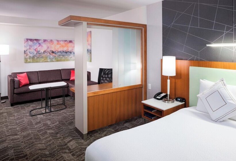 标准工作室, Springhill Suites By Marriott Salt Lake City Airport