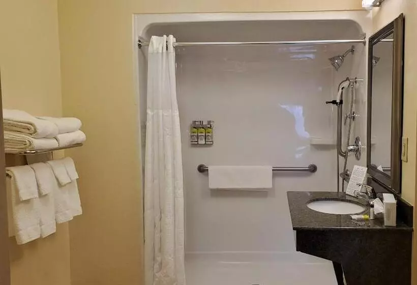 身障者適用スタンダードルーム, Staybridge Suites Rochester University, An Ihg