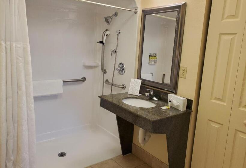 适合残疾人使用的标准间, Staybridge Suites Rochester University, An Ihg
