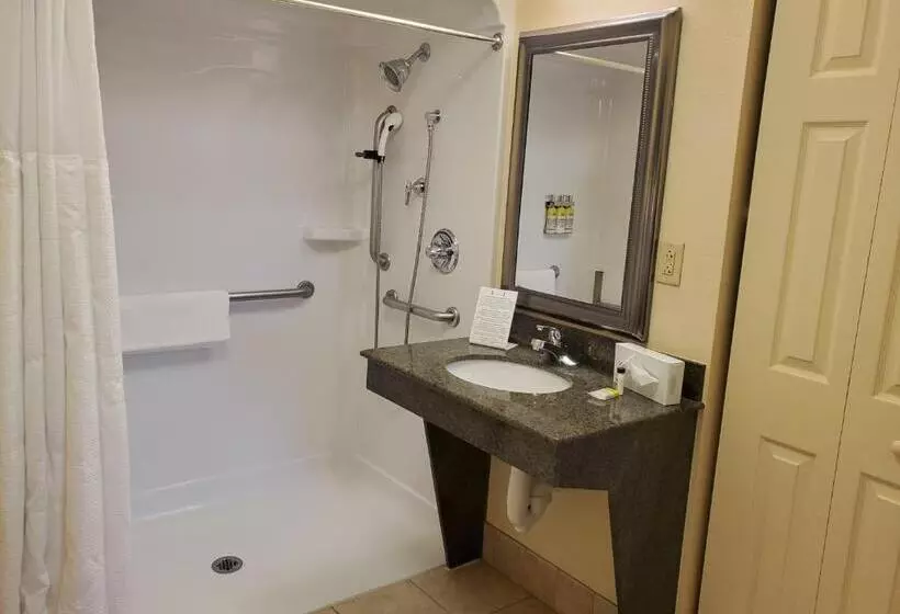 身障者適用スタンダードルーム, Staybridge Suites Rochester University, An Ihg