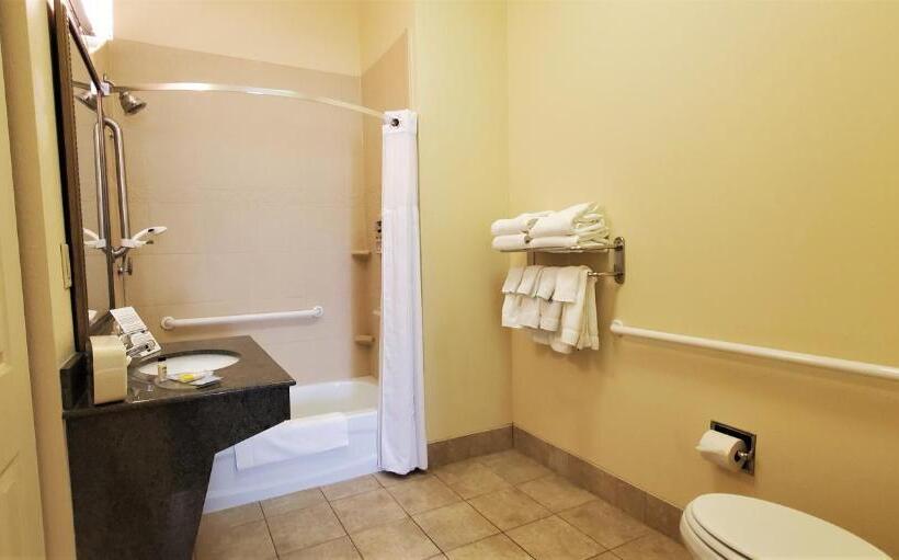 适合残疾人士使用的套间, Staybridge Suites Rochester University, An Ihg