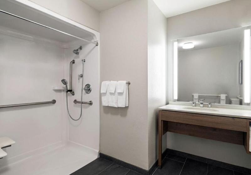 适合残疾人士使用的套间, Staybridge Suites Rochester University, An Ihg