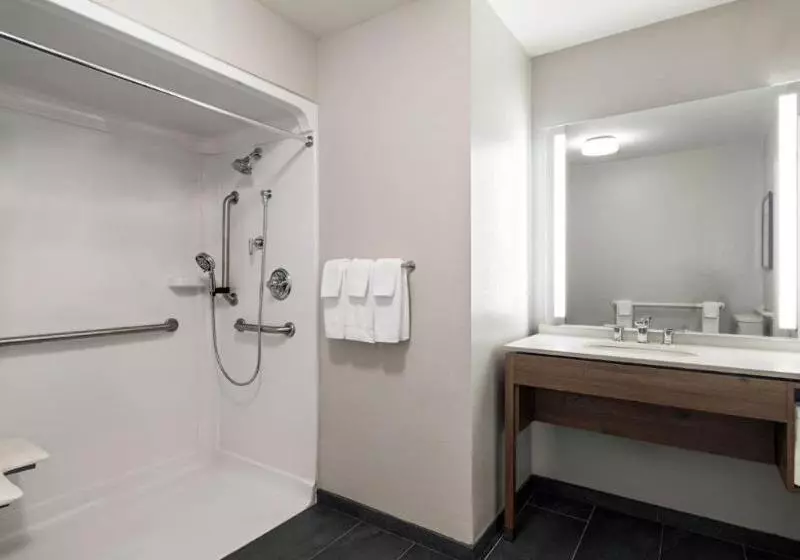 身障者適用スイートルーム, Staybridge Suites Rochester University, An Ihg