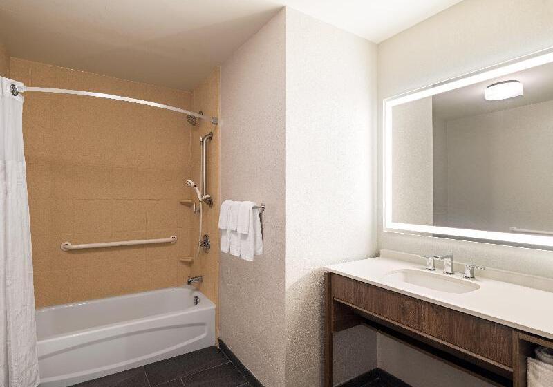 适合残疾人士使用的套间, Staybridge Suites Rochester University, An Ihg