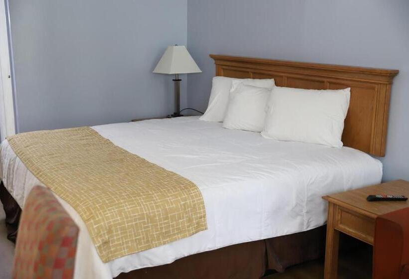 带大床的标准间, Super 8 By Wyndham Florence Sc I 95 North Hwy 76