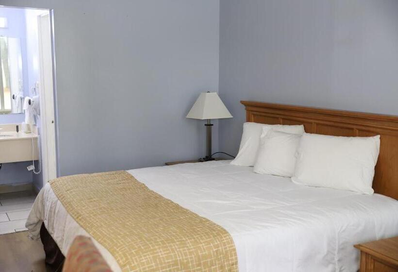 带大床的标准间, Super 8 By Wyndham Florence Sc I 95 North Hwy 76