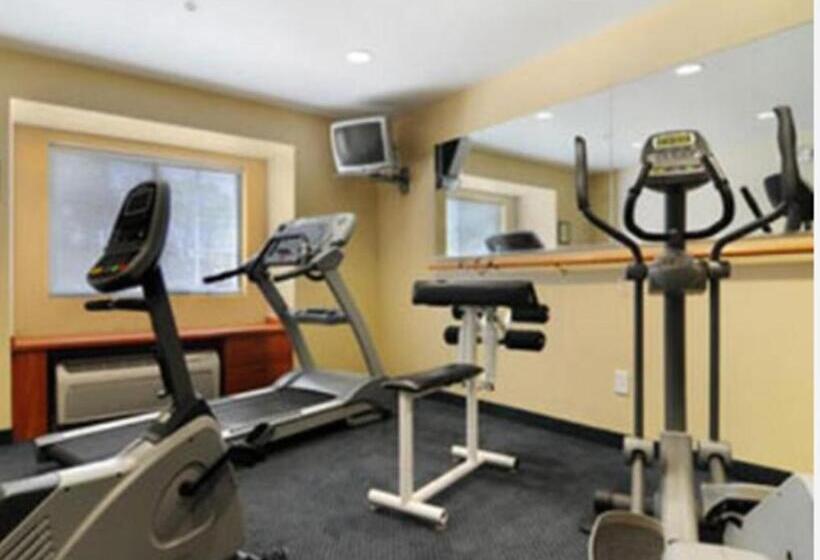 장애인을 위한 스탠다드 룸, Microtel Inn & Suites Huntsville