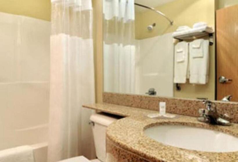 חדר סטנדרט מותאם לאדם עם מוגבלויות, Microtel Inn & Suites Huntsville