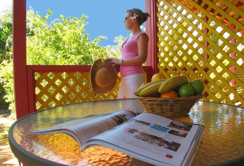 آپارتمان 2 خوابه, Habitat Resort