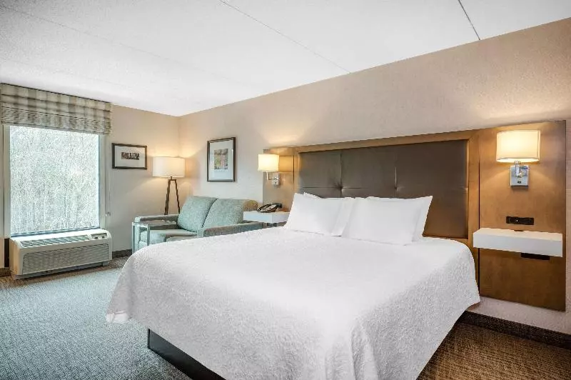 キングサイドベッドのスタンダードワンルーム, Hampton Inn Raynhamtaunton