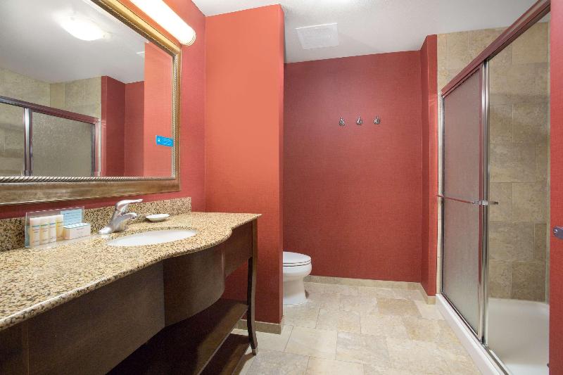 غرفة قياسية سرير كينج, Hampton Inn Siloam Springs