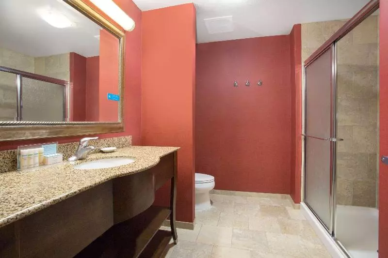 キングサイズベッドのスタンダードルーム, Hampton Inn Siloam Springs