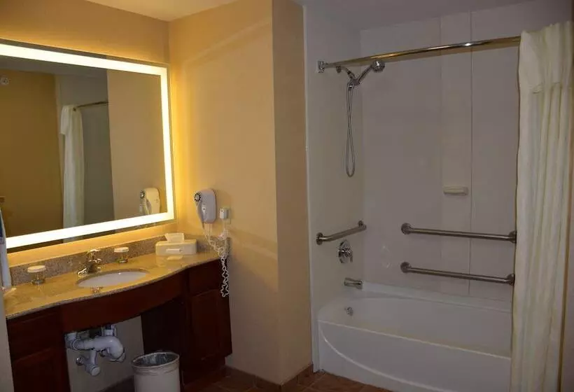２ベッドスイートルーム, Homewood Suites By Hilton Brighton