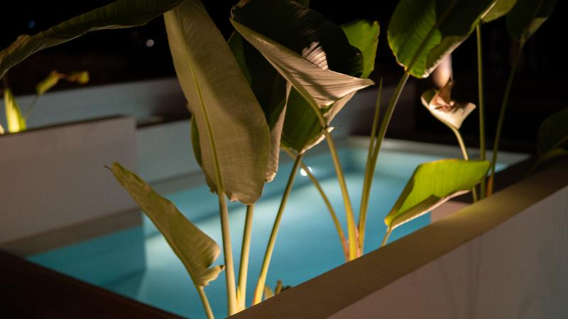 Escritório Estándar, Iperion Beach