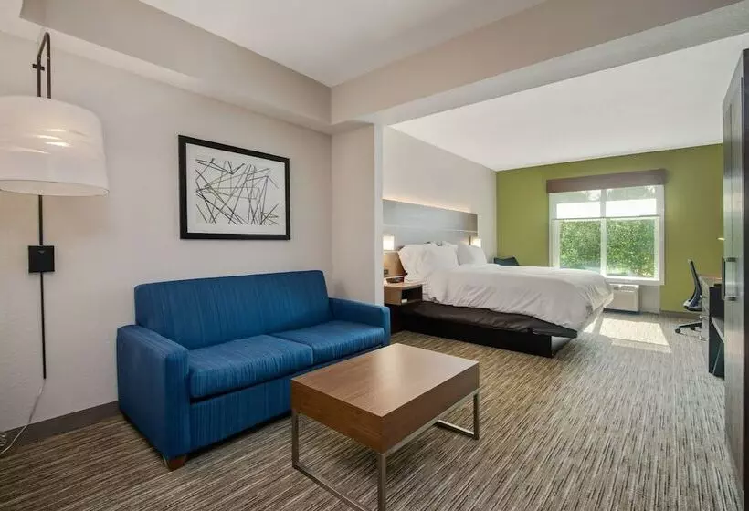 キングサイズベッドのスイートルーム, Holiday Inn Express Hotel & Suites Orlando   Apopka, An Ihg
