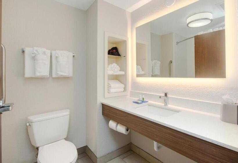 غرفة قياسية سرير كينج, Holiday Inn Express Hotel & Suites Orlando   Apopka, An Ihg