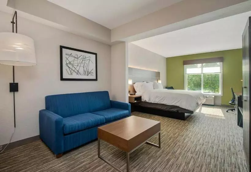 キングサイズベッドのスイートルーム, Holiday Inn Express Hotel & Suites Orlando   Apopka, An Ihg