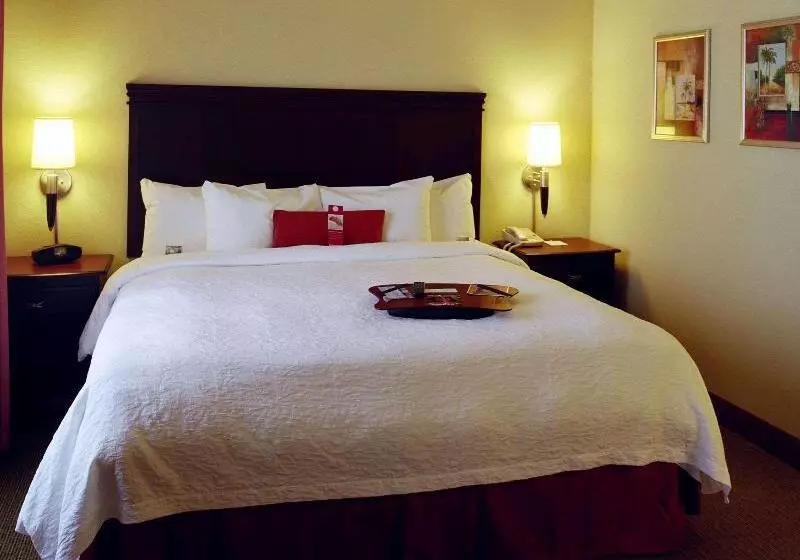 キングサイズベッドのスタンダードルーム, Hampton Inn & Suites Greenville