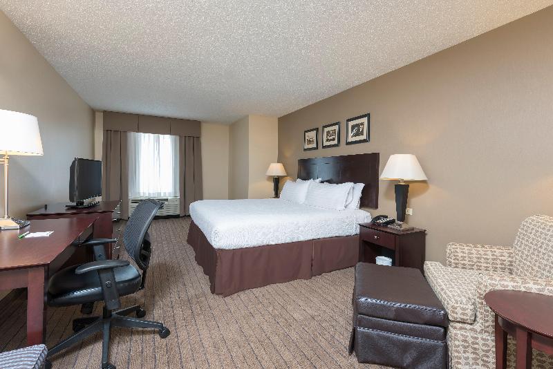غرفة إدارية سرير كينج, Holiday Inn Aurora North   Naperville, An Ihg