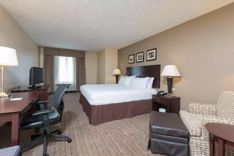 Executive-huone King-vuode, Holiday Inn Aurora North   Naperville, An Ihg