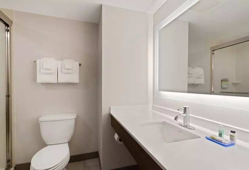 Standard-huone, Holiday Inn Express Hotel & Suites Largo Clearwater, An Ihg