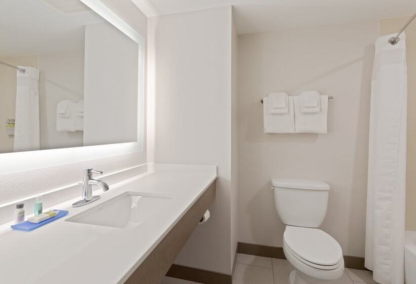 חדר סטנדרט, Holiday Inn Express Hotel & Suites Largo Clearwater, An Ihg