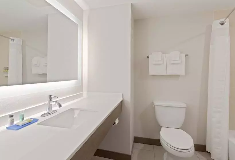 Standard-huone, Holiday Inn Express Hotel & Suites Largo Clearwater, An Ihg
