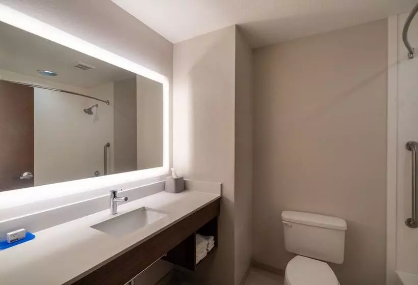 スイート, Holiday Inn Express Hotel & Suites Talladega, An Ihg