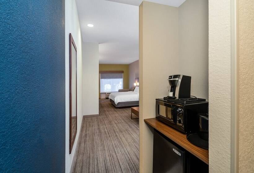 Люкс, Holiday Inn Express Hotel & Suites Talladega, An Ihg