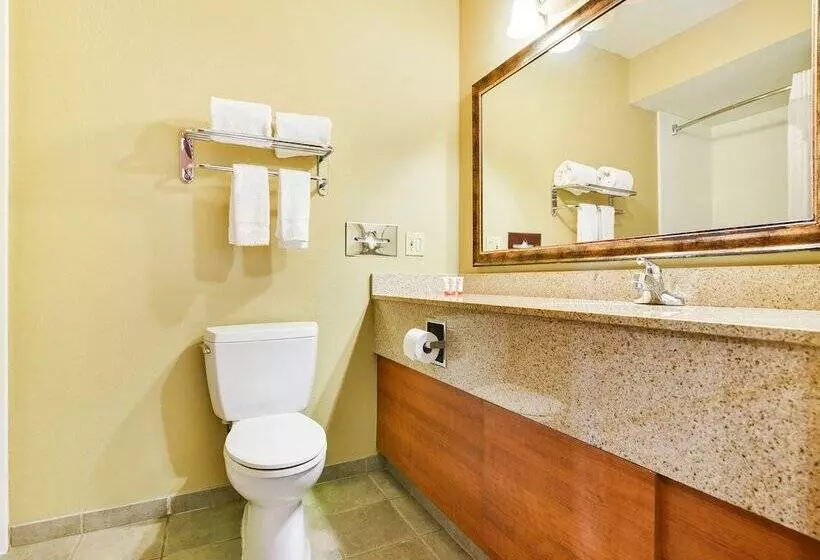 スイート, Oyo Townhouse Oklahoma City Airport