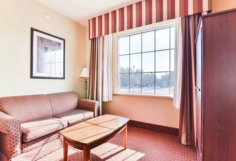スイート, Oyo Townhouse Oklahoma City Airport