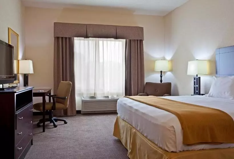 Standard-huone King-vuode, Holiday Inn Express & Suites Chicago West O Hare Arpt Area , An Ihg