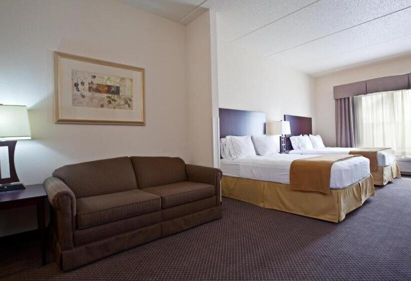 身障者適用スイートルーム, Holiday Inn Express & Suites Chicago West O Hare Arpt Area , An Ihg