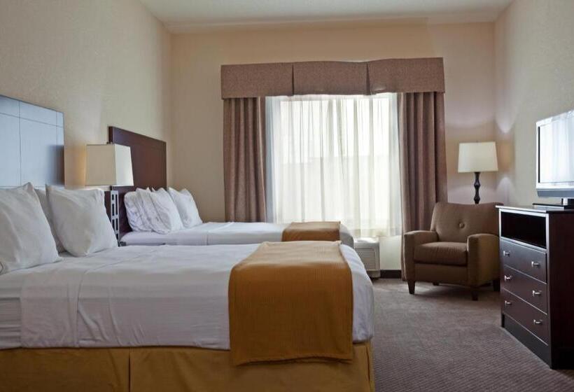 اتاق استاندارد برای معلولان, Holiday Inn Express & Suites Chicago West O Hare Arpt Area , An Ihg