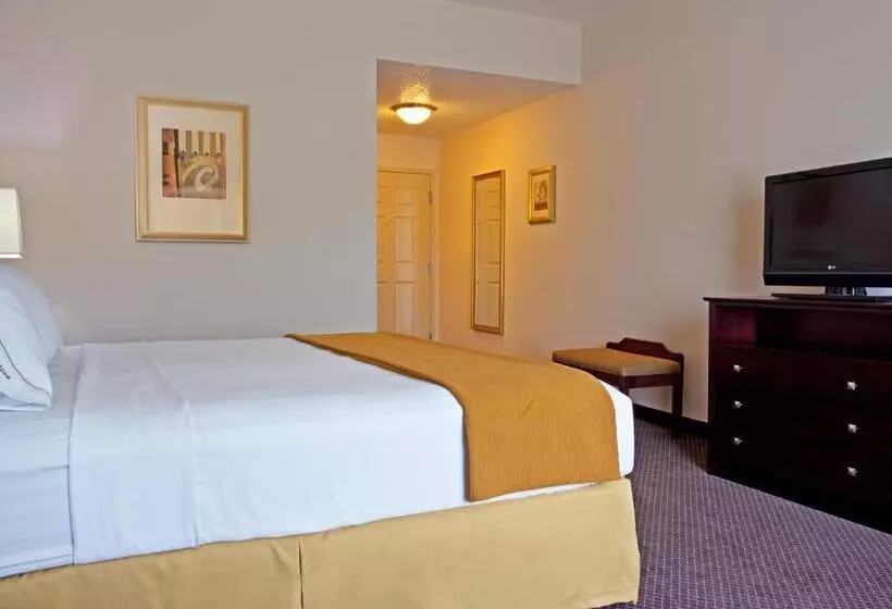 Standard-invahuone King-vuode, Holiday Inn Express & Suites Chicago West O Hare Arpt Area , An Ihg