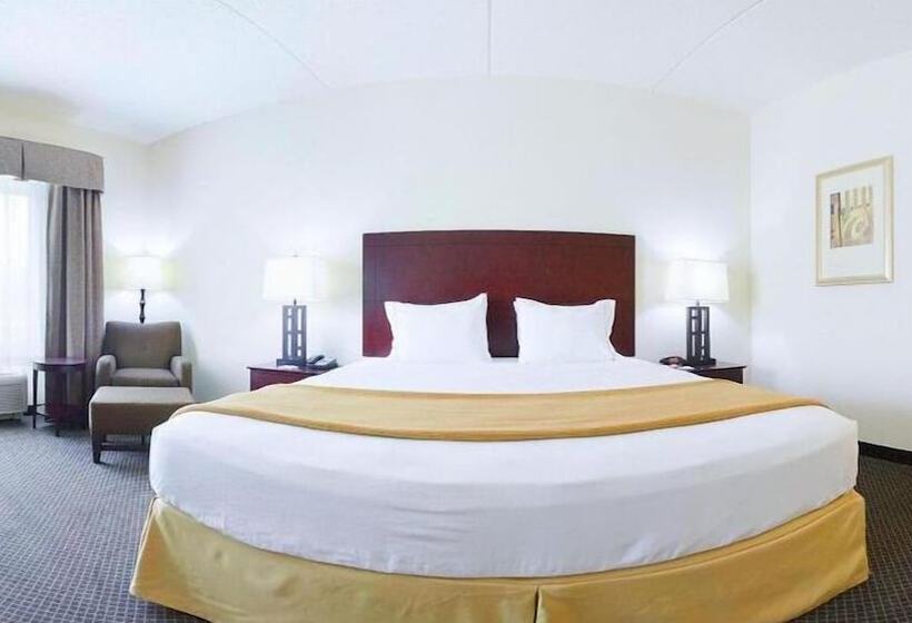 اتاق استاندارد, Holiday Inn Express & Suites Chicago West O Hare Arpt Area , An Ihg