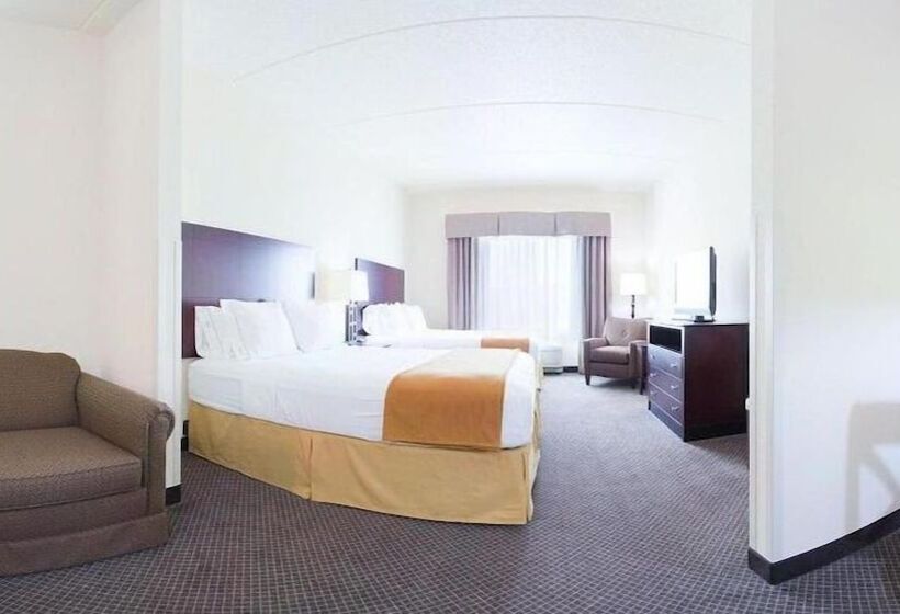 身障者適用スタンダードルーム, Holiday Inn Express & Suites Chicago West O Hare Arpt Area , An Ihg
