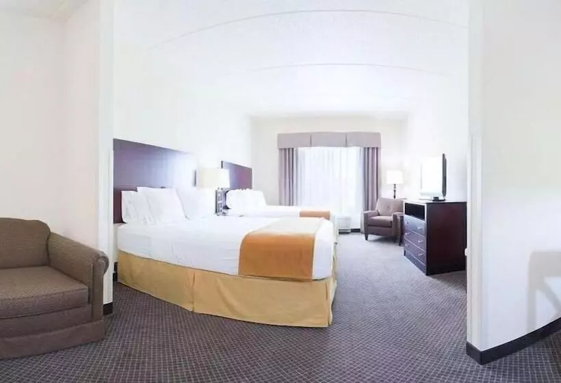 Standard-invahuone, Holiday Inn Express & Suites Chicago West O Hare Arpt Area , An Ihg