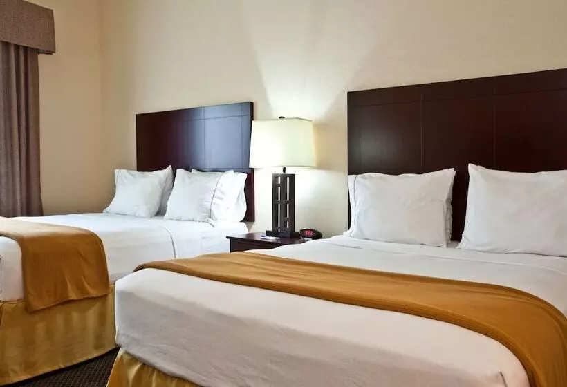 Standard-invahuone, Holiday Inn Express & Suites Chicago West O Hare Arpt Area , An Ihg