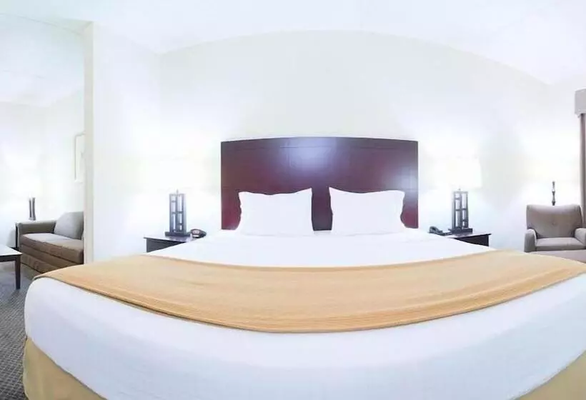 Sviitti Liikuntarajoitteisille, Holiday Inn Express & Suites Chicago West O Hare Arpt Area , An Ihg