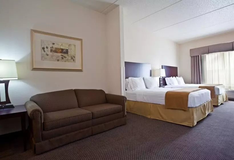 Sviitti Liikuntarajoitteisille, Holiday Inn Express & Suites Chicago West O Hare Arpt Area , An Ihg