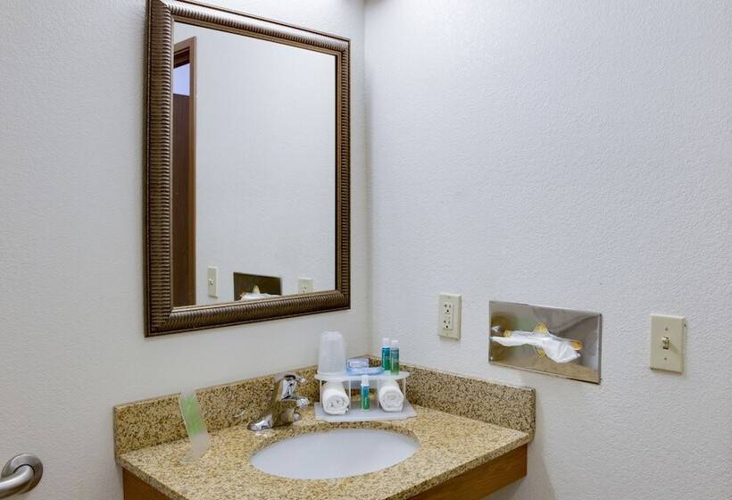 חדר סטנדרט מותאם לאדם עם מוגבלויות, Holiday Inn Express Hotel & Suites Mattoon, An Ihg