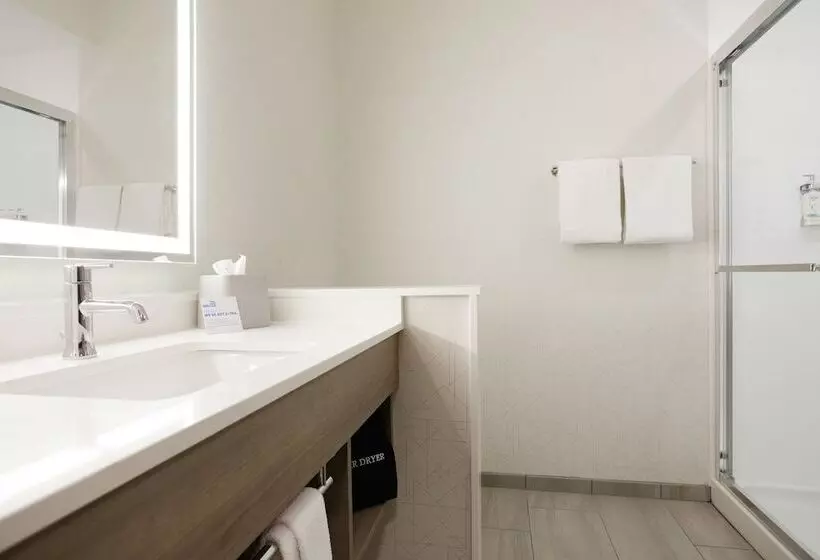 スイート, Holiday Inn Express Hotel & Suites Terre Haute, An Ihg