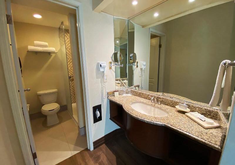 스탠다드 룸 킹사이즈 침대, Holiday Inn Express Hotel & Suites Terre Haute, An Ihg